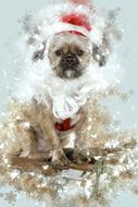 Christmas Dog Animal Pet