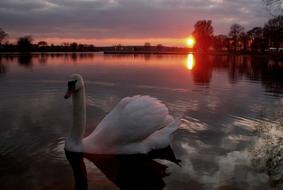 Sunset Nature Lake