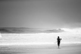 Surfer Surfing Beach