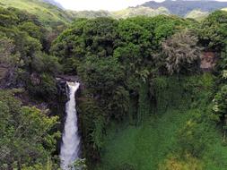 Hawaii Waterfall Tropical