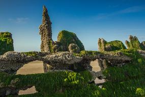 Wreck Wood Beach