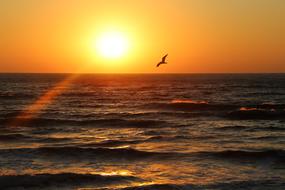 Dawn Sea Sky