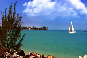 Sail Boat Southwest Florida Gulf