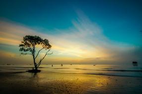 Scenery The Sea