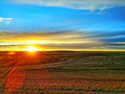 Prairie Sunset Field