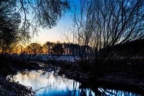 Nature Waters Trees