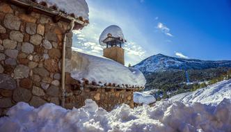 Snow Winter Nature