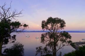Australia Gumtrees Boats