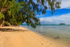 Sand Beach Tropical