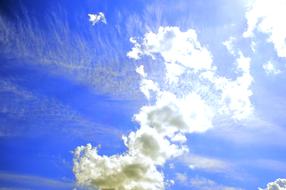 white Cloudy Sky Homolifelho