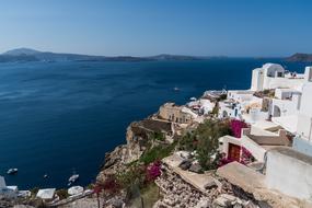 white buildings and flowering bushes on Santorini island, Greece