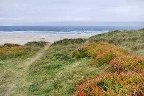Penhale Sands Perranporth
