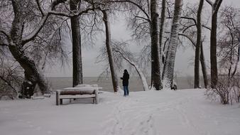 Bench Winter Snow Park In