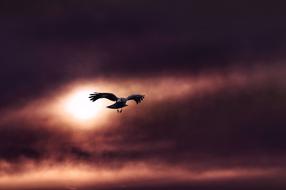 Landscape Sunset Sky