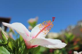 Crete Summer Greece