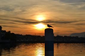 Sunset Waters Sun