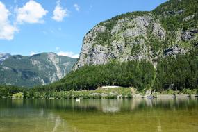 forest on the edge of the lake against the background of mountains in Austria