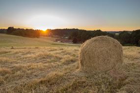 Fields Nature at Sunset