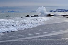 The Pacific Ocean Sea Wave