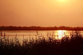 Sunset Waters Dawn