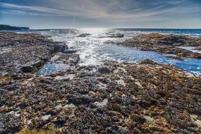 Sea Coast Water