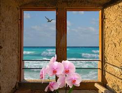 Landscape Window Lake