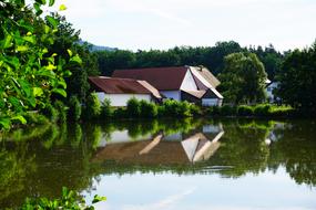 Water Mirroring Nature