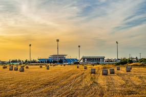 Agriculture Field Panoramic