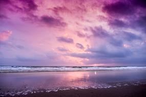 Shore Beach Sunset
