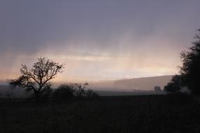 Foggy landscape in the rain