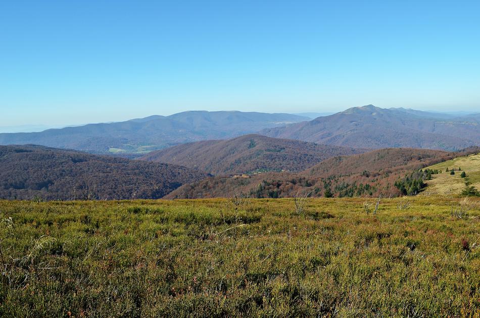 green meadows on the background of hills in nature