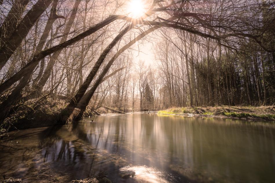 rays of the sun through the trees by the lake