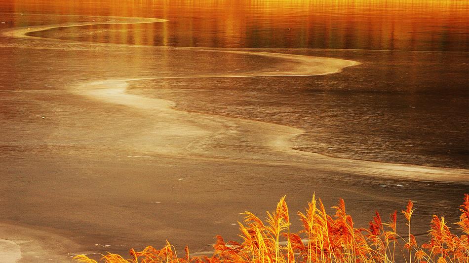 Sea Water Coast at sunset