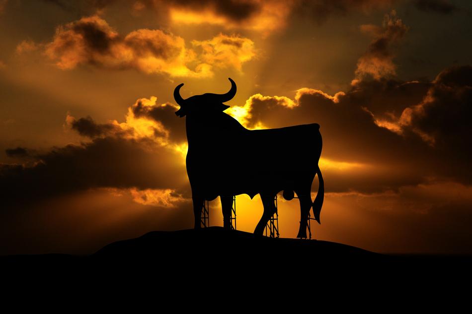 silhouette of a buffalo at sunset in mallorca