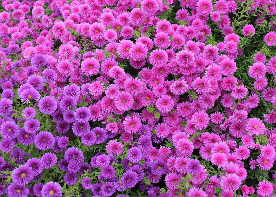 Wallpapers Wallpaper Background