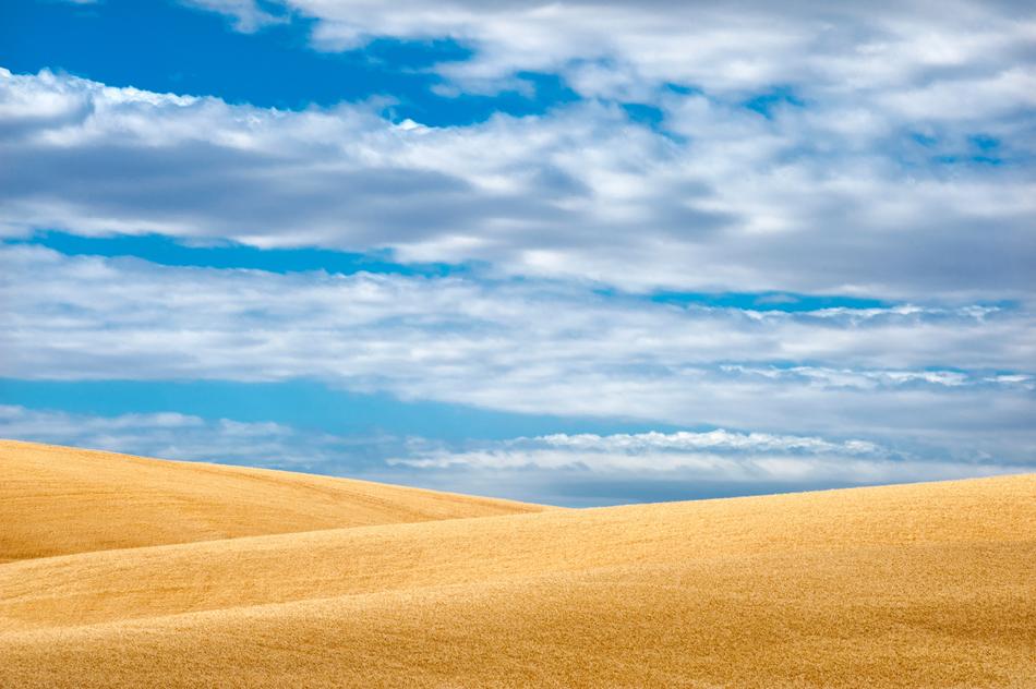 Panoramic Nature sand
