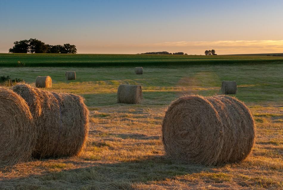 straw bales on Fields at Sunset