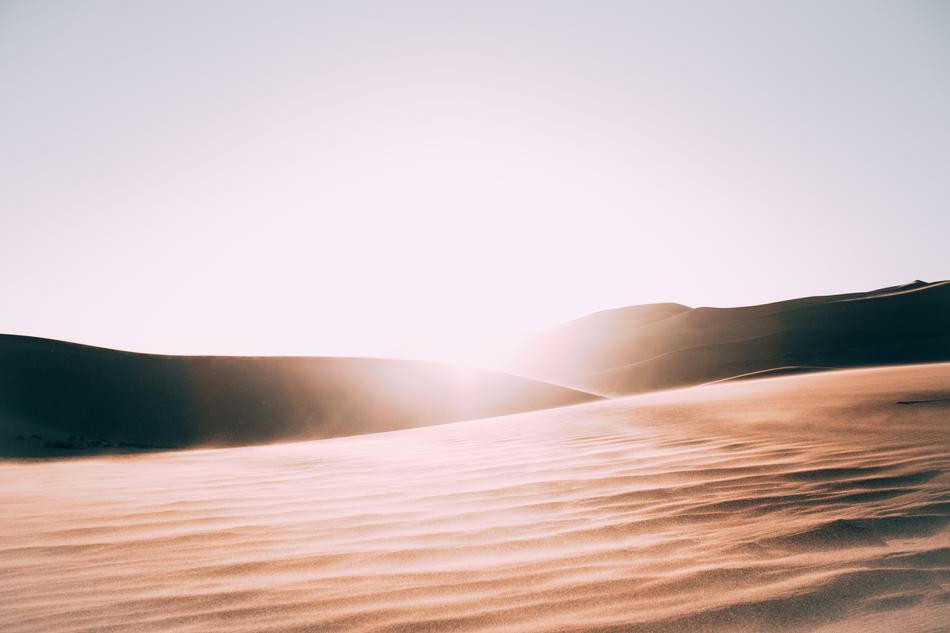 Barren Bright Dawn