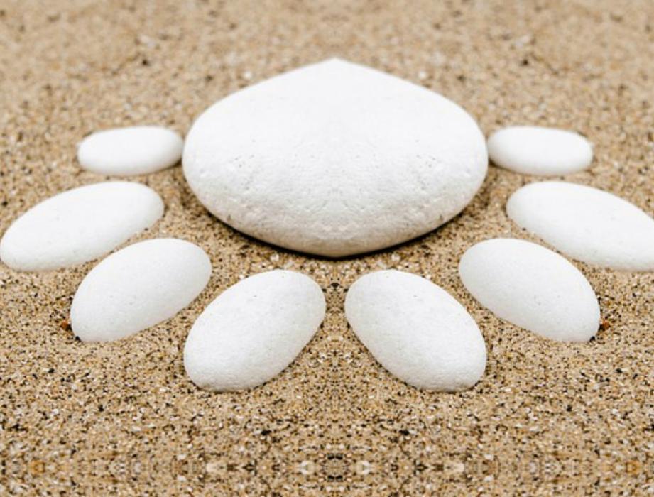 pebbles in the sand as a white flower