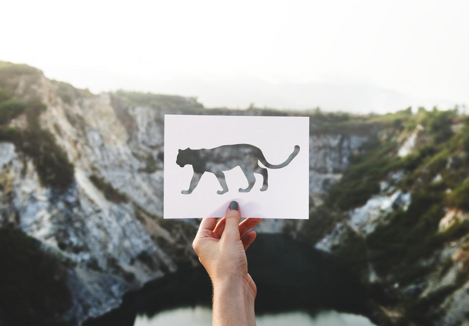 Person holding paper with panther shape, near the beautiful mountains with green plants