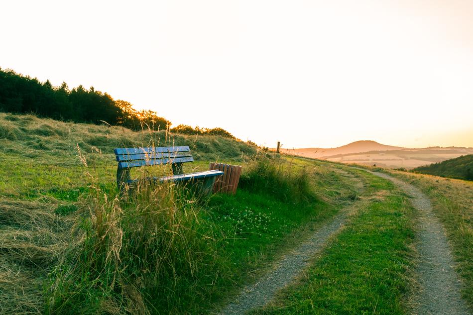 bench by the road to the pasture