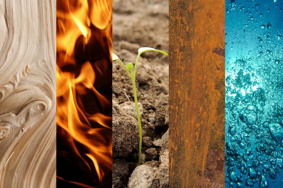 collage of five elements in nature