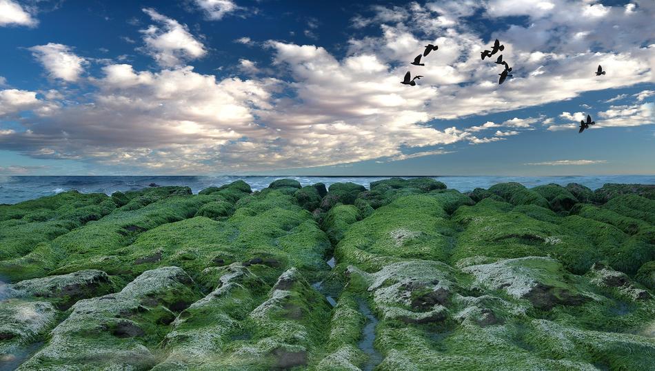 Laomei Green Reef is located on the North Coast