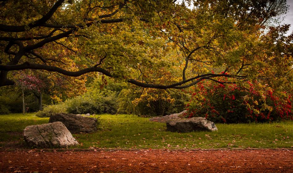 Budapest Park In Autumn