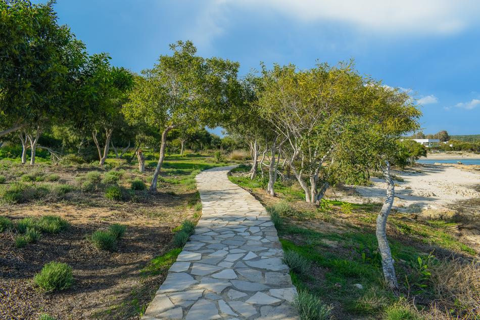 Beautiful landscape of the colorful coppice with path at Makronissos, in Ayia Napa, Cyprus