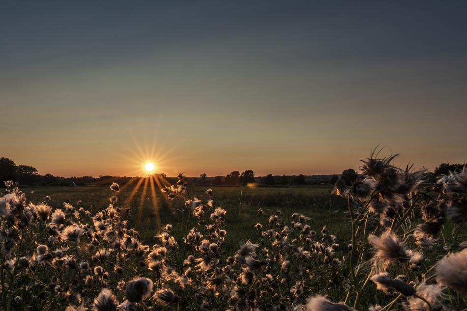 Sunset over countryside in Germany