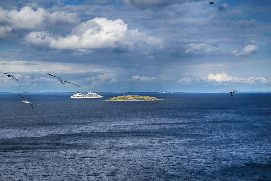 seagulls over the coast in copenhagen