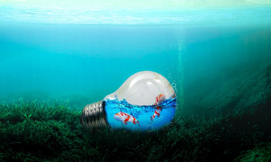 two Fish inside light bulb underwater, digital art