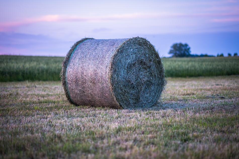 old Hay Bales Straw