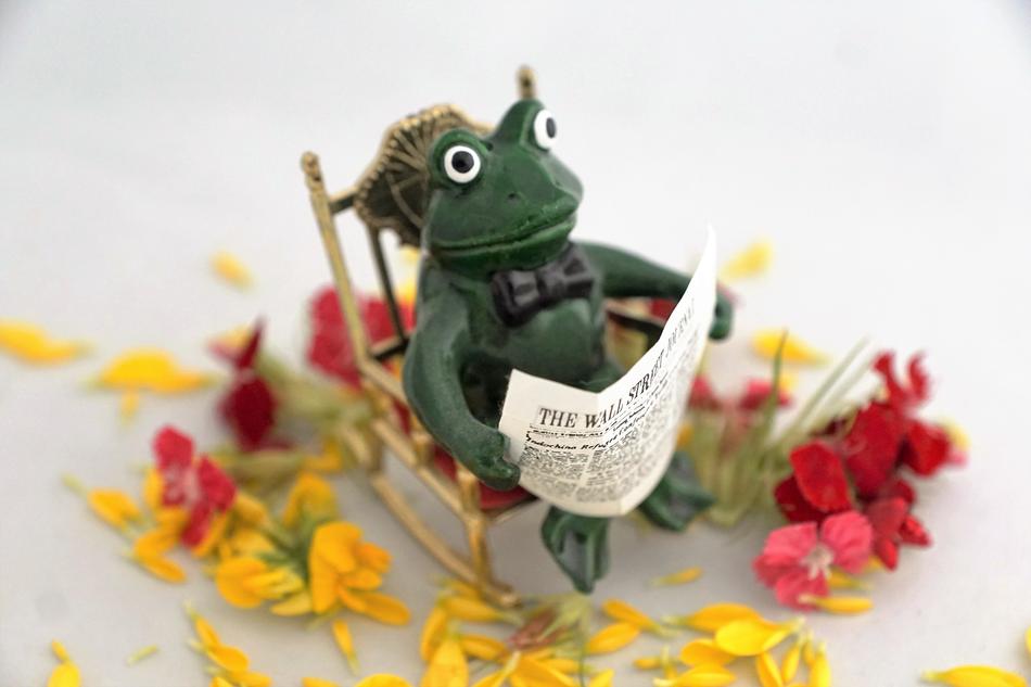 frog with newspaper figure